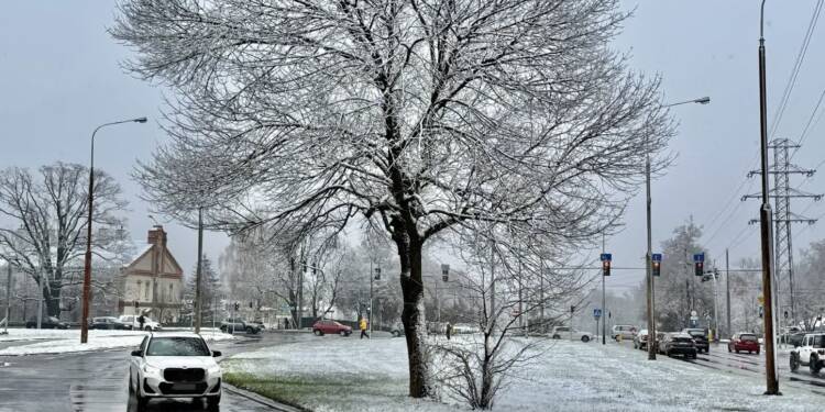 "Pierwsze dni ze śniegiem zawsze są trudne". Zimowe zasady jazdy 1 EAttachments908964658fac61a449d41dbe0e544d5578af4ed xl