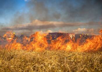 EAttachments9134495bccca5790a1ae1c59a3a2bd10b73cce6 xl