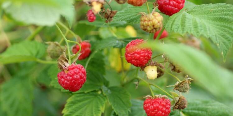 EAttachments91733986397048da7876d96fc6e5110b60d00b9 xl