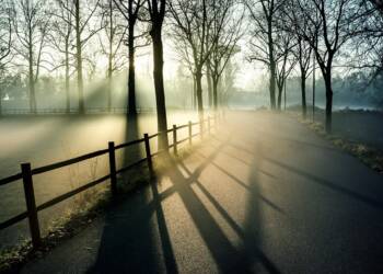 EAttachments9176569719962f7e82dbc564e73cd9188c5ef89 xl