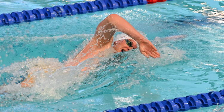 EAttachments9177482f5ffe45d1b5826fb253c8fa8dbc5d06e xl