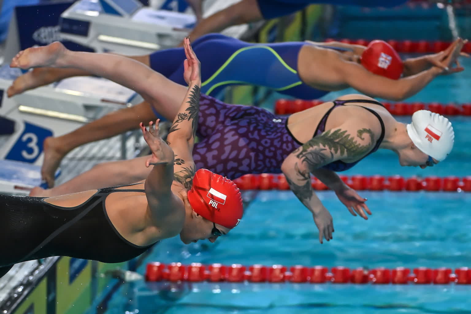 Pierwsze medale na mistrzostwach Europy w pływaniu 5 mid-25c02277.jpg