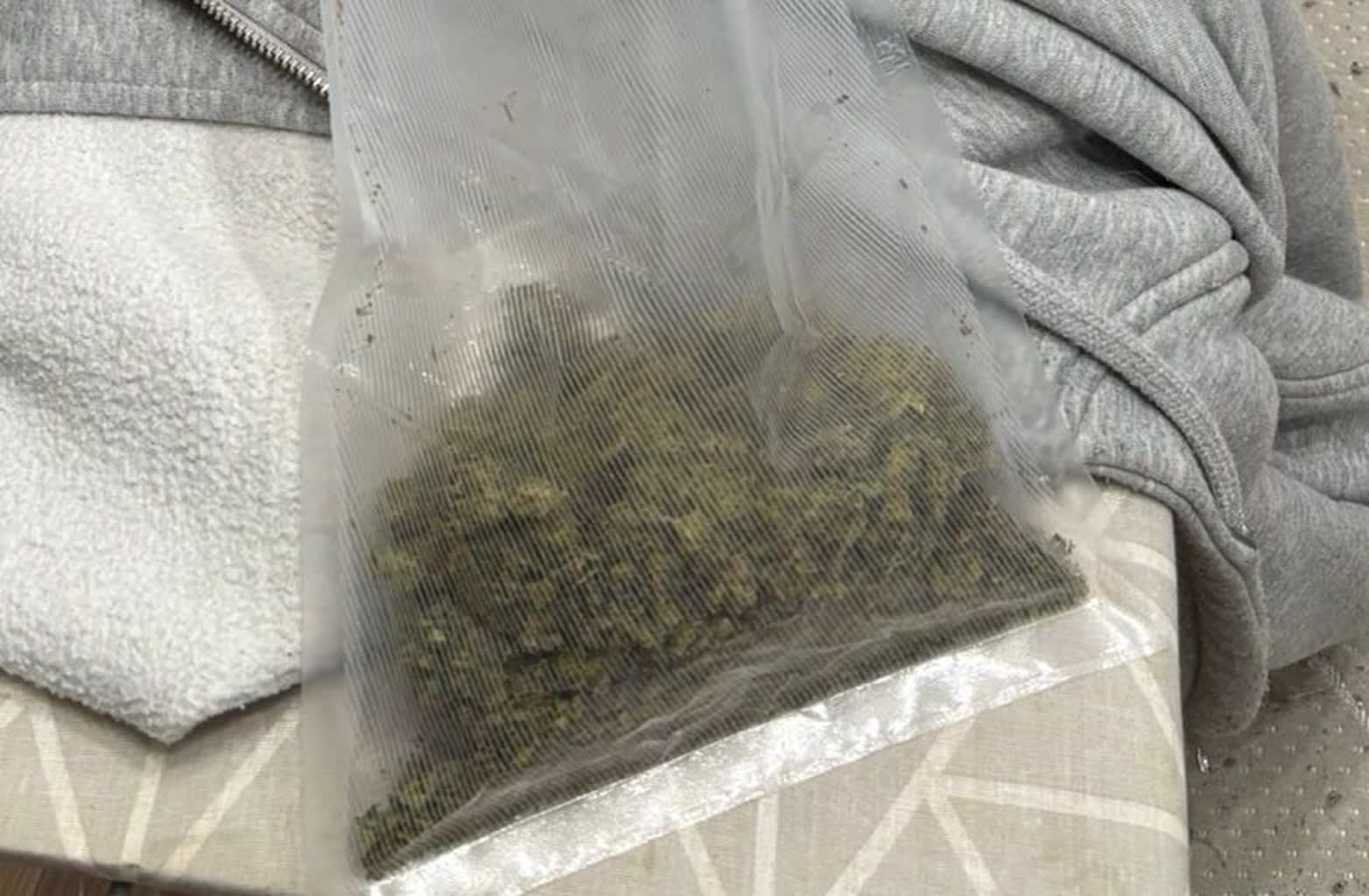 Miał w mieszkaniu kilogram marihuany. 27-latek w areszcie 2 350-280563.jpg