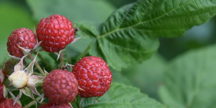 EAttachments917901774405233cba5f434f20c611d0389d216 xl