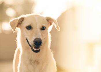 EAttachments9179100597972b0b7182baeaa2beb54d87791ff xl