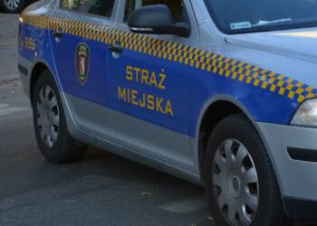 EAttachments91791577b86bc782950d539010e4aa5e80a4938 xl