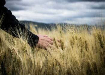 EAttachments9179201da2c61460df8685788fe2267cdd91616 xl