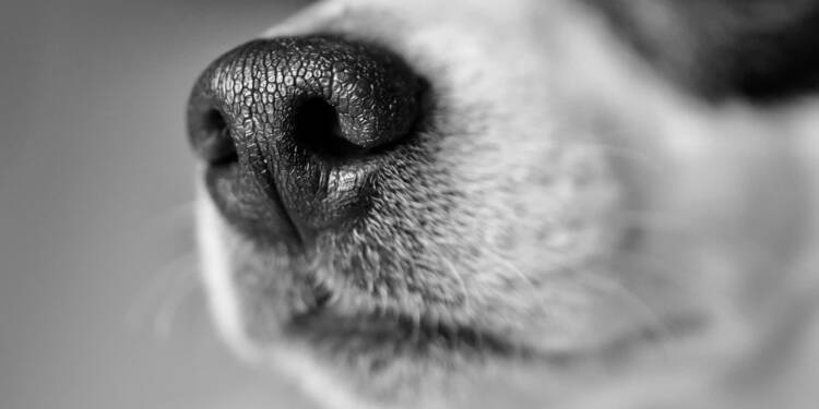 EAttachments918119125ef3af73dfa81fd033adcbb08c7390e xl