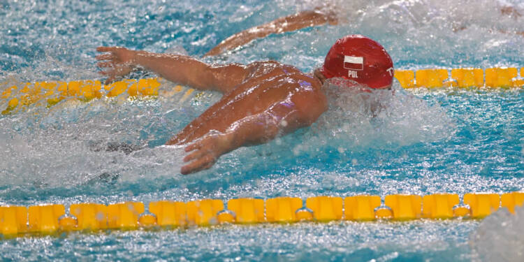 EAttachments9183152e795864d2f4af32b3330e093e9d50c3e xl 1