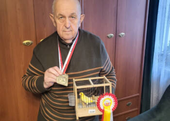 Kanarkowy mistrz z Lublina 2 EAttachments91847798d83a7a5ac577a85f23cbe10c3d73727 xl