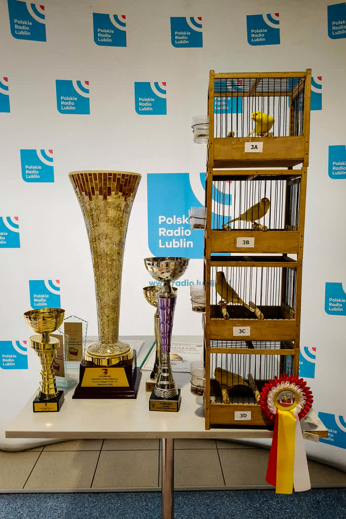 Kanarkowy mistrz z Lublina 2 af08e974-60a8-4192-8484-92dc4e32eaa5.jpg