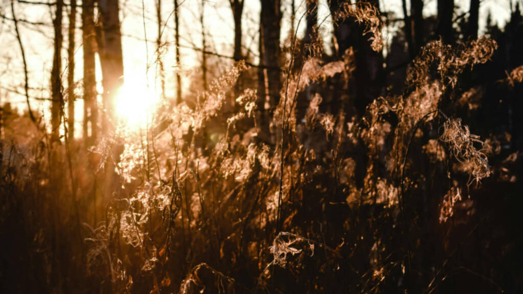 07.12.2025 Jak to na wsi bywało 1 EAttachments918699039e2323d782b820e971cb2679c142497 xl