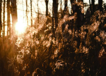 07.12.2025 Jak to na wsi bywało 2 EAttachments918699039e2323d782b820e971cb2679c142497 xl