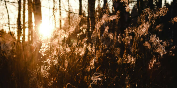 EAttachments918699039e2323d782b820e971cb2679c142497 xl