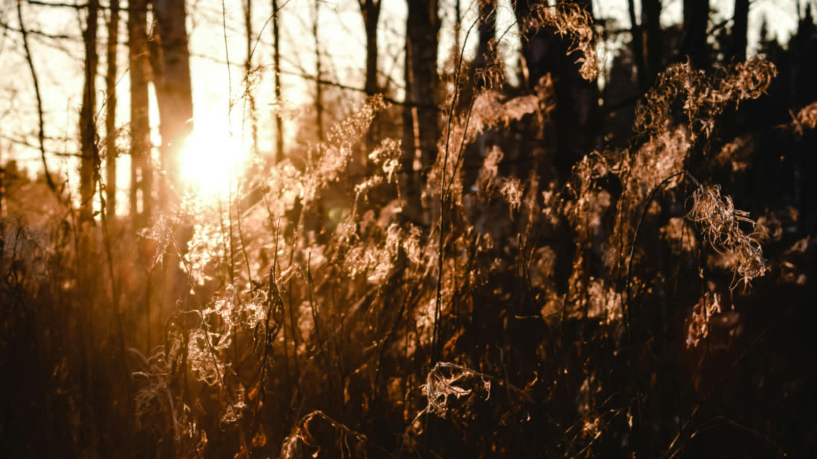 07.12.2025 Jak to na wsi bywało