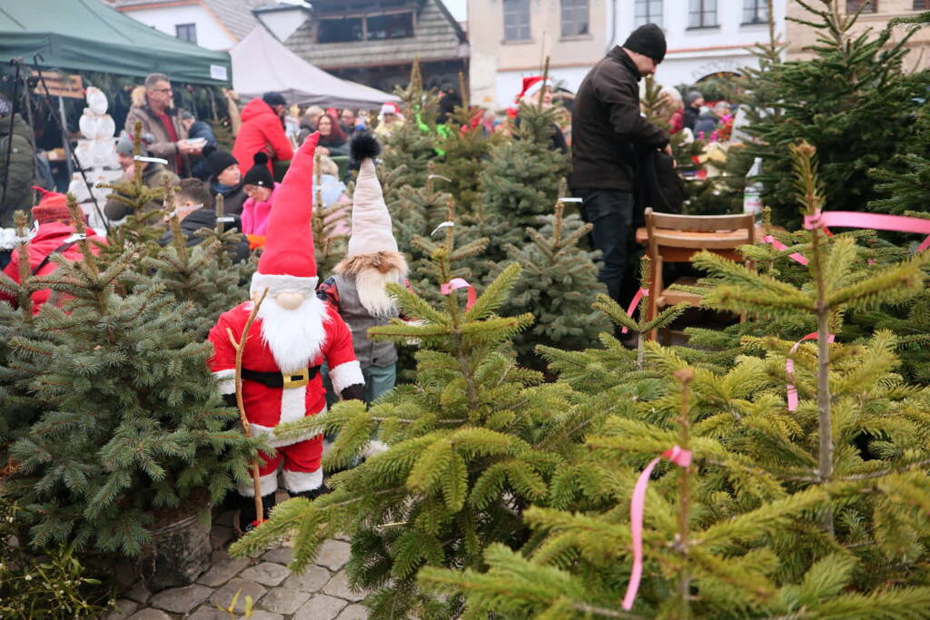 EAttachments9187047c67581264e0e8cbd1dd26e2357f56942 xl 1