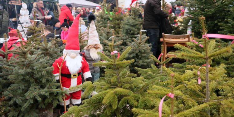 EAttachments9187047c67581264e0e8cbd1dd26e2357f56942 xl 1