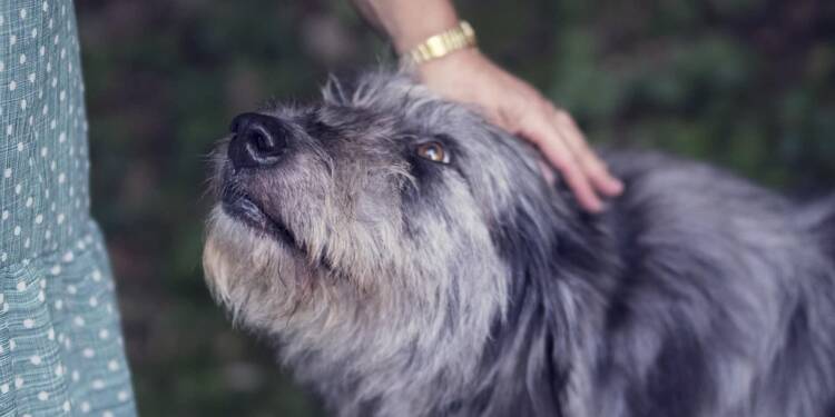 EAttachments91887597ea8442ca457c94ae2ef140719eee209 xl