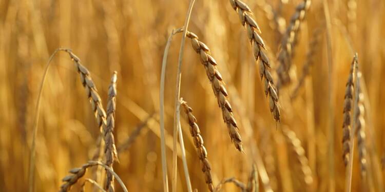 EAttachments91887652d90fca4e1df8b5272d9e8faa5c4796f xl