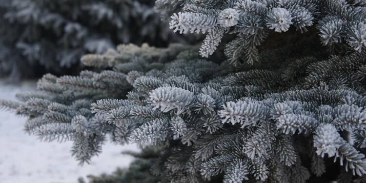 EAttachments9188876e7c83c5a251e31cc4e99fad26a466786 xl