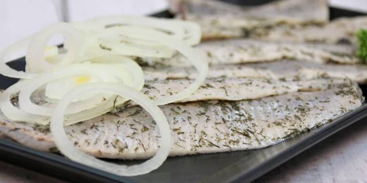 EAttachments919077714d3b472443a2fea4019239f2fac31d5 xl