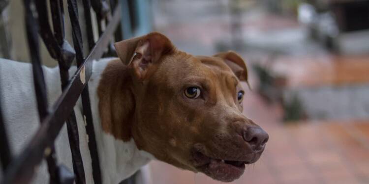 EAttachments9190785bb27a152baf73a5e7c87c7505f877edd xl