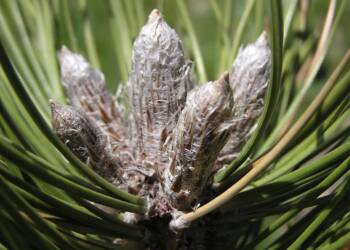 EAttachments91908055660ecfa4f7ff330fdad51c27e05914c xl