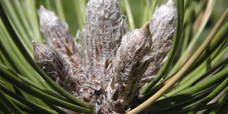 EAttachments91908055660ecfa4f7ff330fdad51c27e05914c xl