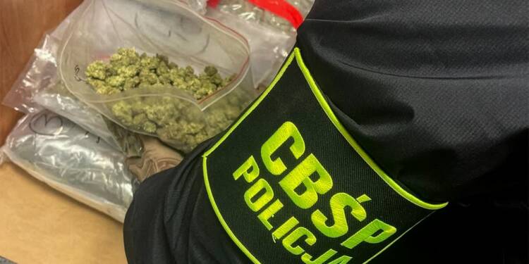 EAttachments91909757c057fe58dde2ffdcb840b46dc2b2af3 xl