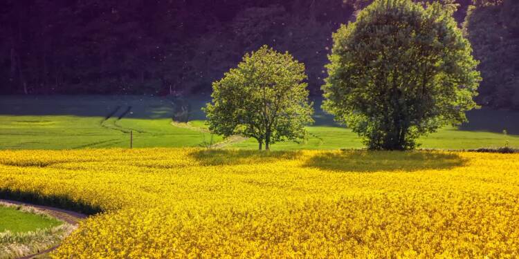 EAttachments91911983126dd328d56709d5b3c66beb3ad900d xl