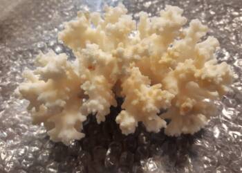 EAttachments91912614cfc4e95962b6d06e98b231e0b0a8c90 1