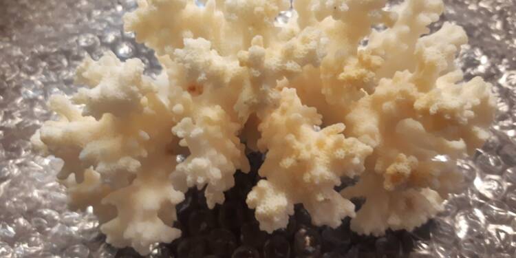 EAttachments91912614cfc4e95962b6d06e98b231e0b0a8c90