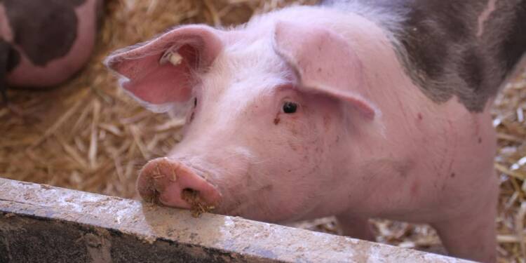 EAttachments919160524709181a37ecc80f5f9e6a9320fb55c xl