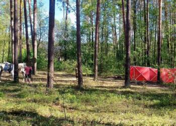 EAttachments9191926e1d4cb211a14cf4302df109b4d8c20b3 xl