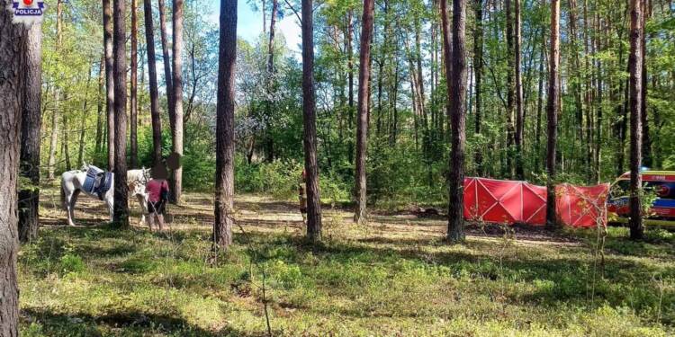 Śmierć 14-latki po upadku z konia. Prokuratura umorzyła śledztwo 1 EAttachments9191926e1d4cb211a14cf4302df109b4d8c20b3 xl