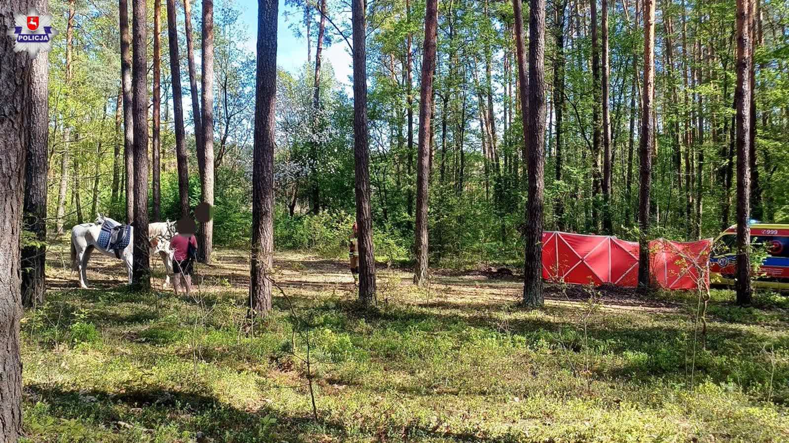 Śmierć 14-latki po upadku z konia. Prokuratura umorzyła śledztwo