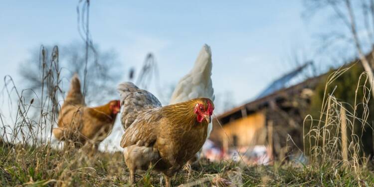 EAttachments9193427e51729d6eebe9bbe3dbc7458b7286c83 xl 2