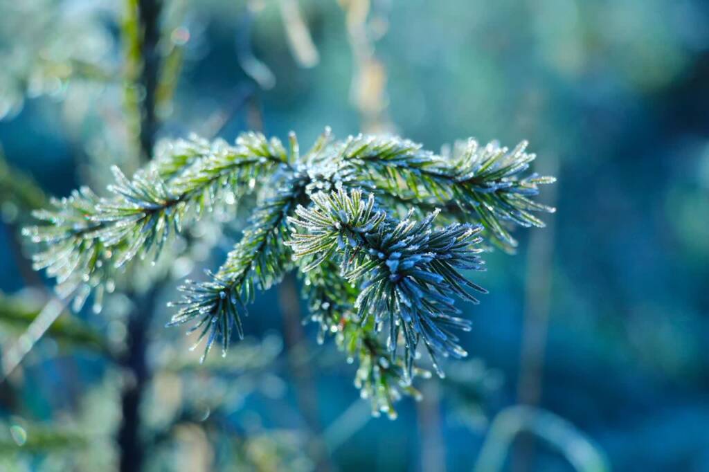 EAttachments919414342e6bf3d3cc5ec7e0cf6175fe2013d49 xl