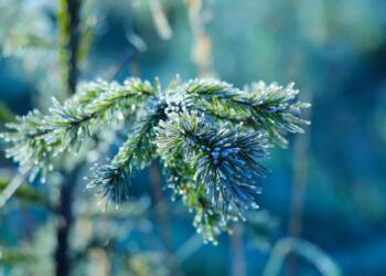 EAttachments919414342e6bf3d3cc5ec7e0cf6175fe2013d49 xl