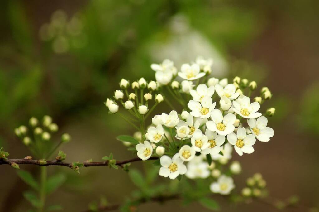 EAttachments919456142a341947a3e2906532ce3fe92339c0b xl