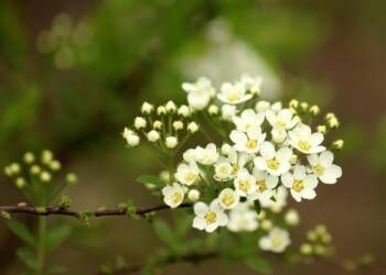 EAttachments919456142a341947a3e2906532ce3fe92339c0b xl