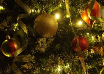 13.12.2025 Mądre dzieci 8 EAttachments919456548e5f028813a03ce983ce67639ac668d xl