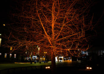 EAttachments9194710464528e0d6ef21fba4e2ccdab7838701 xl