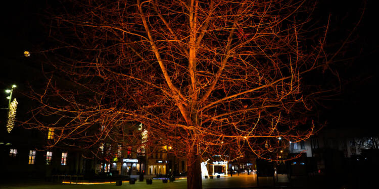 Plac Litewski zaświecił na pomarańczowo 1 EAttachments9194710464528e0d6ef21fba4e2ccdab7838701 xl