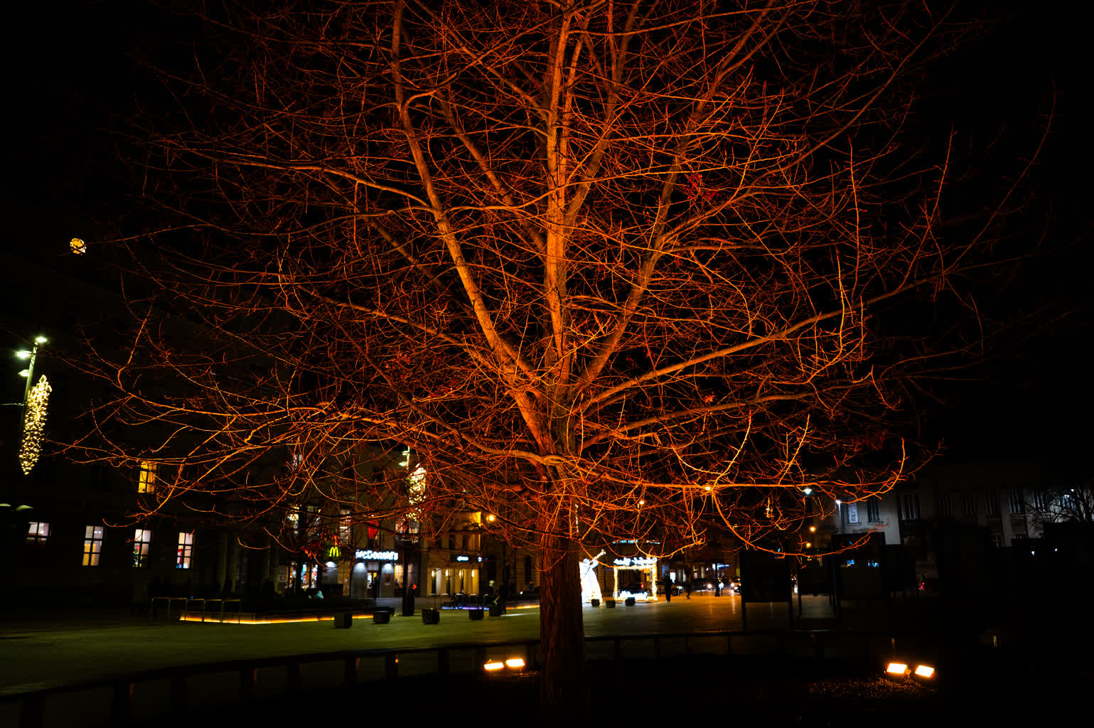 Plac Litewski rozbłysł na pomarańczowo