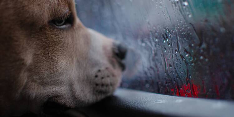 EAttachments919527629f26f9c4f88cee7f779a3ba163dffcc xl