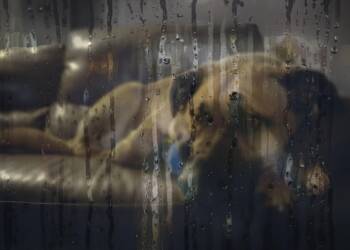 EAttachments91973360f3894006d84de5e053e6172dec2ba6a xl