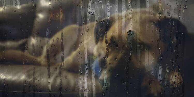 EAttachments91973360f3894006d84de5e053e6172dec2ba6a xl