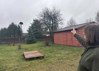 EAttachments9197883d8b855c410373e3a3c82075b18c7cd4d xl 1024x768 1