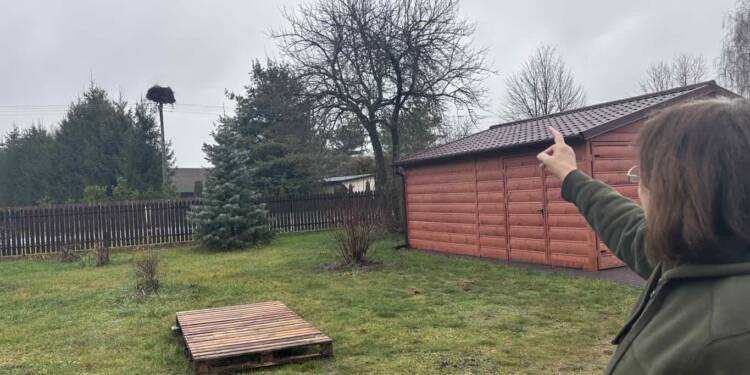 EAttachments9197883d8b855c410373e3a3c82075b18c7cd4d xl